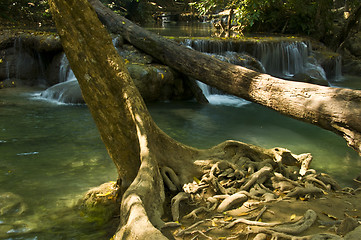 Image showing Erawan National Park