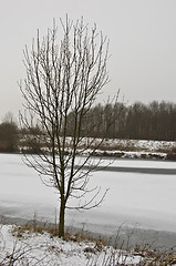 Image showing Winter landscape