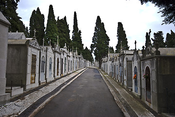 Image showing Cemetery