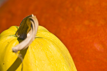 Image showing Pumpkins