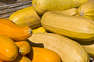 Image showing Pumpkins