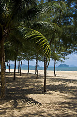 Image showing Thai Beach