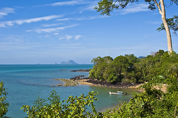 Image showing Susan Hoi Shell Fossil Beach Cemetery