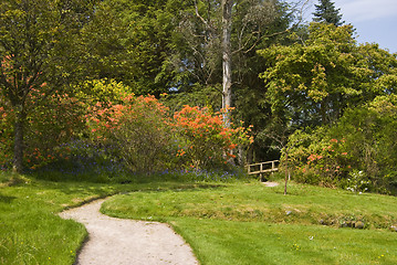 Image showing garden