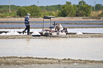 Image showing Saline