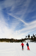 Image showing Skiing