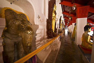 Image showing Holy elephant