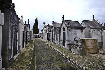 Image showing Cemetery