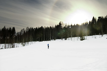 Image showing Skiing