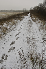 Image showing Winter landscape