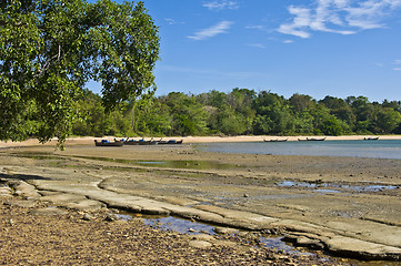 Image showing Susan Hoi Shell Fossil Beach Cemetery