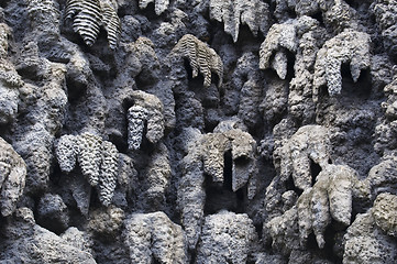 Image showing Wall of stalactites