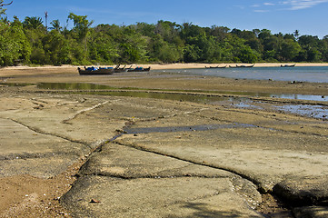Image showing Susan Hoi Shell Fossil Beach Cemetery
