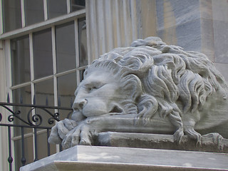 Image showing Sleeping lion