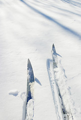 Image showing Ski Detail