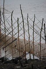 Image showing Waiting for the big catch