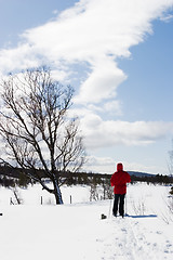 Image showing Cross Country Landscape