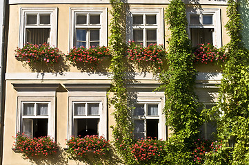 Image showing Old palaces in Prague