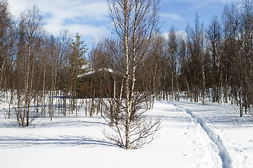 Image showing Winter Forest Cabin