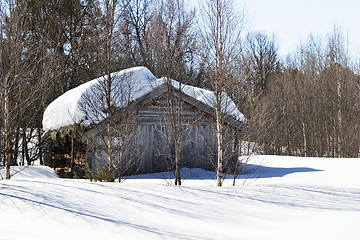 Image showing Winter Forest Cabin