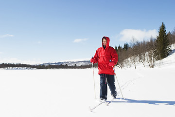 Image showing Cross Country Landscape