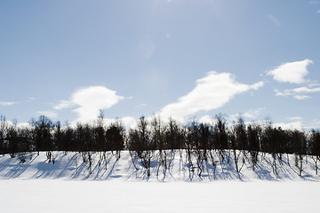 Image showing Frozen Lake Landscape