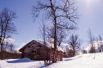 Image showing Winter Cabin