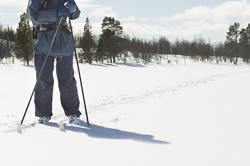 Image showing Cross Country Landscape