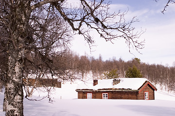 Image showing Barren Landscape