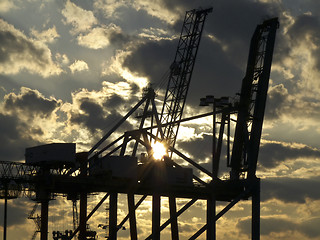 Image showing Cranes at sunset