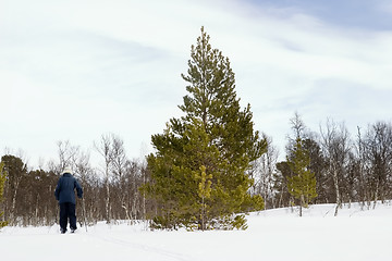 Image showing Cross Country Skiing