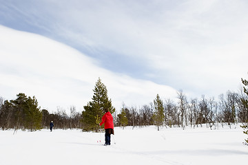 Image showing Cross Country Skiing