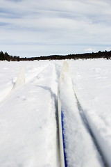 Image showing Cross Country Skiing