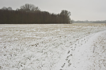 Image showing Winter landscape