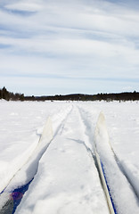 Image showing Cross Country Skiing