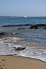 Image showing Beach in Cascais