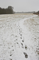 Image showing Winter landscape