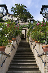 Image showing Castle garden