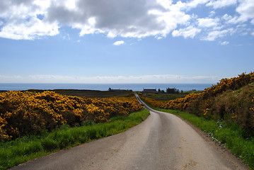 Image showing Lonesome road