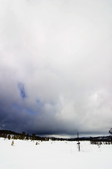 Image showing Winter Landscape