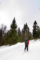 Image showing Skiing in Winter