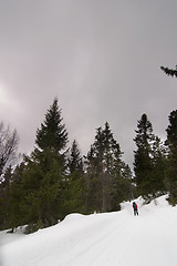 Image showing Winter Landscape