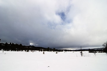 Image showing Winter Landscape