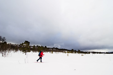 Image showing Skiing in Winter