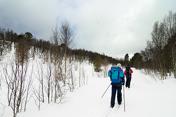 Image showing Skiing in Winter