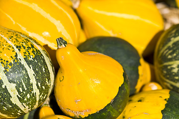 Image showing Pumpkins