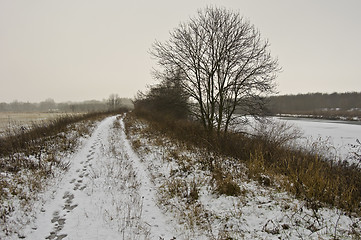 Image showing Winter landscape