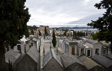 Image showing Cemetery