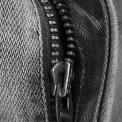 Image showing Zipper Detail