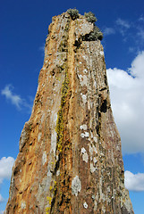 Image showing Ring of Brodgar